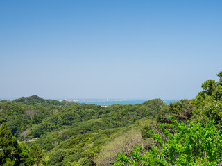 Obraz premium 快晴の太東岬の風景 千葉県いすみ市