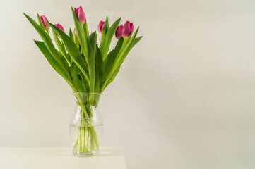 Fresh pink tulip flowers bouquet on a table with white background.