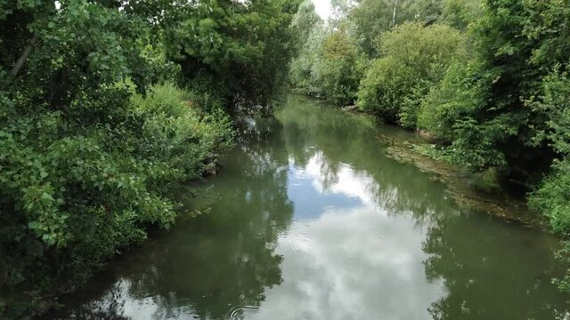rivi&egrave;re bord&eacute;e d'arbres en &eacute;t&eacute;