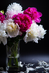Bouquet of peonies with water drops. Black background. Close-up, selective focus.