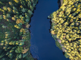 Aerial view of summer forest landscape with river, top trees