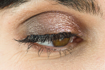 Female eye with lush eyelashes and makeup eyelids, close-up