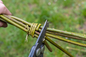 Making of traditional braided whip from pussywillow twigs for Easter Monday. Whip is known as "pomlazka", "tatar" or "karabáč" in Czech republic.