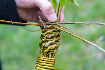 Making of traditional braided whip from pussywillow twigs for Easter Monday. Whip is known as "pomlazka", "tatar" or "karabáč" in Czech republic.