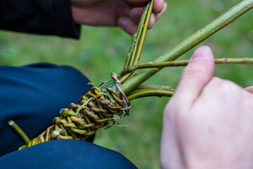 Making of traditional braided whip from pussywillow twigs for Easter Monday. Whip is known as "pomlazka", "tatar" or "karabáč" in Czech republic.