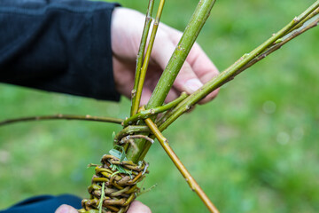 Making of traditional braided whip from pussywillow twigs for Easter Monday. Whip is known as "pomlazka", "tatar" or "karabáč" in Czech republic.