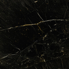 Shungite texture with pyrite streaks
