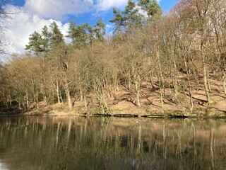 Idylle am Waldsee im Frühling