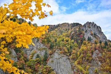 Obraz premium 青空バックに見上げる豊平峡の紅葉情景＠北海道