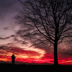 silhouette of a girl at sunset tree. summertime