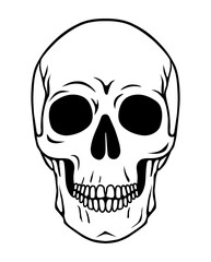 Skull isolated on white background. Vector skeleton. Human head skull. Death and halloween symbol. Black and white sign.