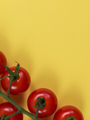 branch of small red tomatoes on yellow background. 