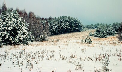 krajobraz po śnieżycy