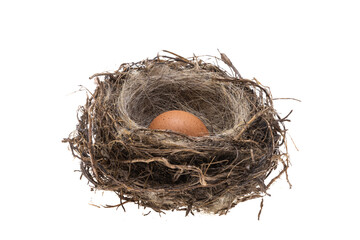 bird's nest with egg isolated