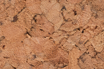 background of cork texture closeup