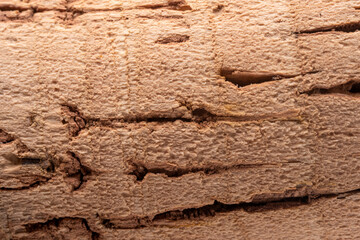background of cork texture closeup