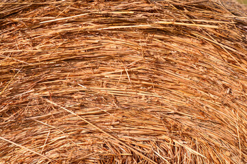 Hay bale background