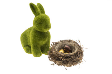 Easter green bunny isolated