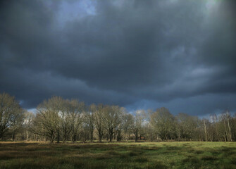Dark rainclouds and sunlight in landscape. Rheebruggen Uffelte Drente Netherlands. Drents Landschap.