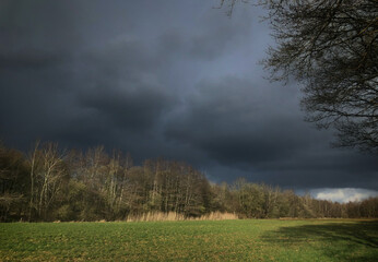 Fototapeta na wymiar Dark rainclouds and sunlight in landscape. Rheebruggen Uffelte Drente Netherlands. Drents Landschap.