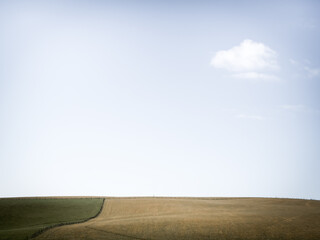 Minimalist meadow, field landscape, wintry day, England.