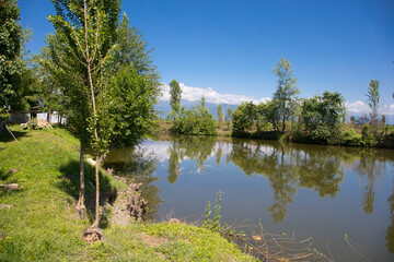 Beautifullake Azerbaijan outdoor. Early summer time. Caucasus