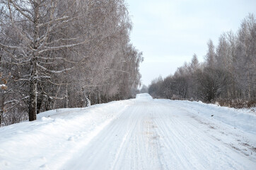 Obraz premium Winter rural landscape with snow covered trees and country road during frosty morning