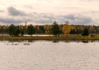 autumn landscape from the lake in the backlight, colorful trees in the background, autumn