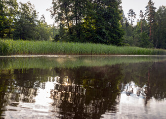 Fototapeta na wymiar green landscape by the lake, tree reflections in calm water, summer
