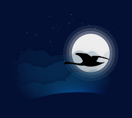 Silhouette Swan night