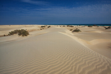 Sand dunes in the south of Socotra Island of Yemen, Middle East