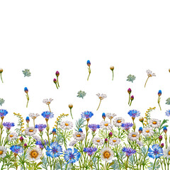 Watercolor border wildflowers from cornflowers, daisies and clover flowers