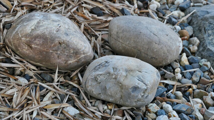 big river pebbles in a nest of dry bamboo leaves
