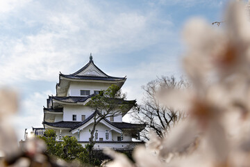 春のお城
