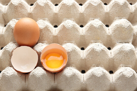 fresh egg in paper container with copy space for text or image , egg background concept