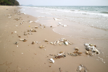 rubbish, garbage, plastic and other pollution from ocean ashore to the beach (environment concept)