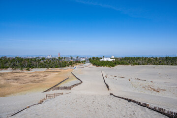 中田島砂丘