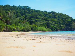 foregrond sand and backgrond cape with tree on the beach, soft blue wave and sky