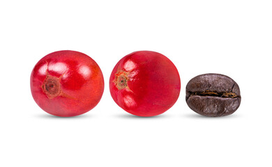 Coffee seeds isolated