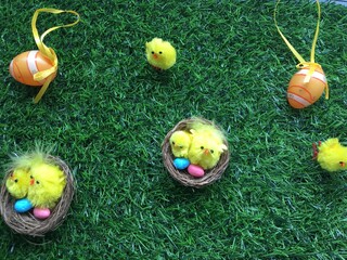 Easter decoration, eggs and chicks