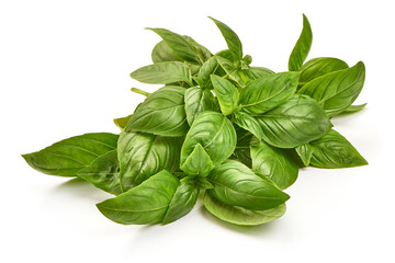 Fresh organic basil leaves, close-up, isolated on white background
