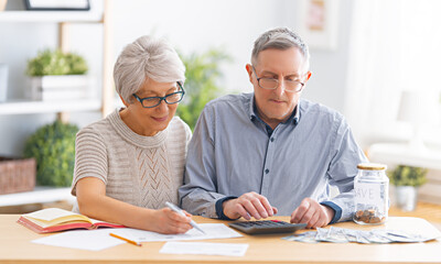 couple managing the family budget
