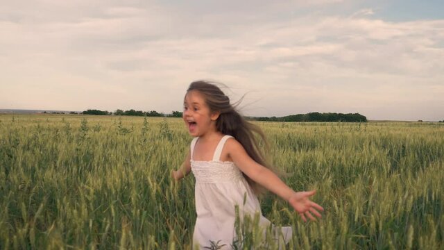 Happy little girl runs through a green wheat field with outstretched arms. A little girl runs towards her dream. Child have fun in the park. Happy child in the park. A chidhood dream. Wheat field