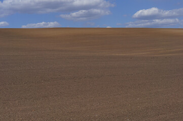Fototapeta premium sand dunes in the desert