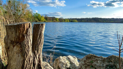 View of a lake with vegetation in the spring. Tree trunk cut in the foreground. Ripples on the water.