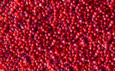 purple red texture