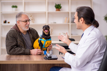 Fototapeta premium Young male doctor vet examining dog in the clinic