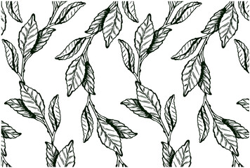 Engraved tea leaves pattern isolated on white background. Sketch hand drawn wallpaper of matcha tea leaf. Botanical, asian, organic, plant, garden, line art, outline. Vector illustration