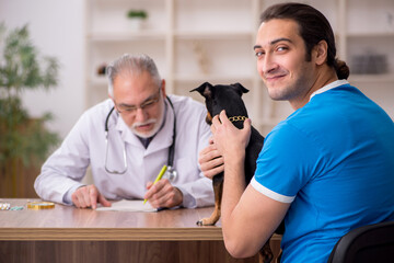 Old male vet doctor examining dog in the clinic