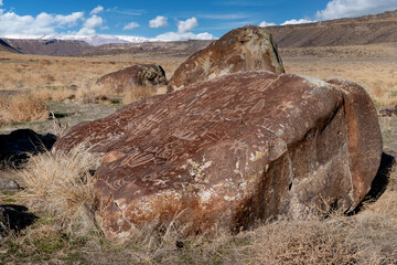 Massive bolder with Petroglyphs covering it like tattoos